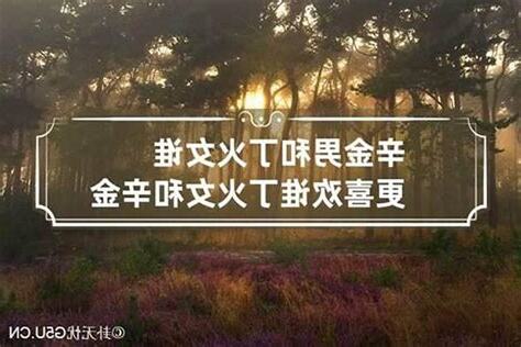 庚金女 丁火男